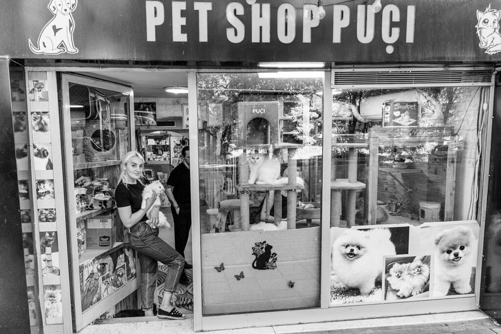 A view through the window into a pet shop in Albania