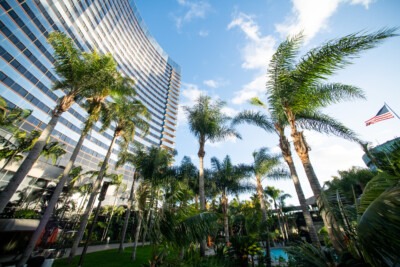 Hotel with palm trees in the foreground